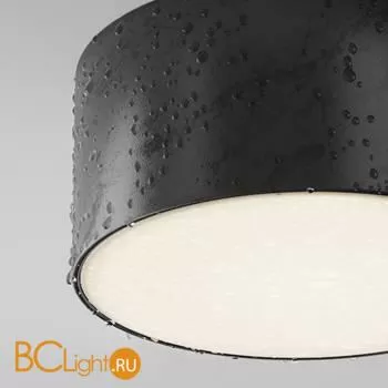 Потолочный светильник Maytoni Zon IP O430CL-L15B4K - Фото 2