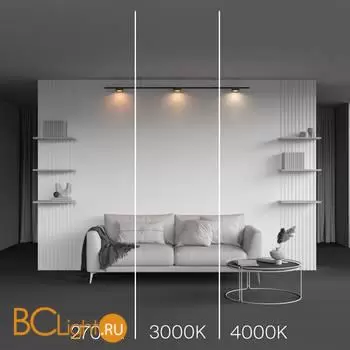 Трековый светильник Maytoni Zon TR189-1-12W3K-BBS - Фото 3