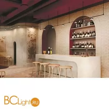 Трековый светильник Maytoni Zon TR204-1-12W3K-BBS - Фото 1