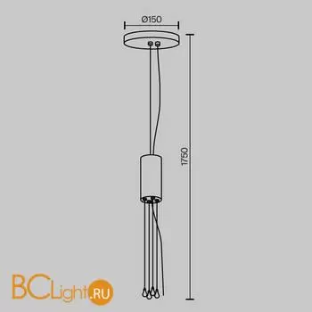 Запчасть Maytoni Zon C032C-04-MG-1 - Фото 2