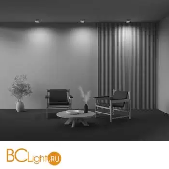 Спот Maytoni Zon C032CL-12W2.7K-RD-MG - Фото 4