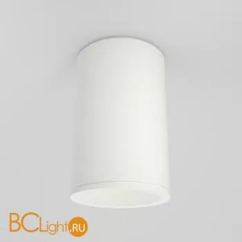 Потолочный светильник Maytoni Zoom GU10 1x50Вт IP 65 C029CL-01-S-W