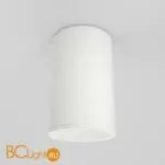 Потолочный светильник Maytoni Zoom GU10 1x50Вт IP 65 C029CL-01-S-W