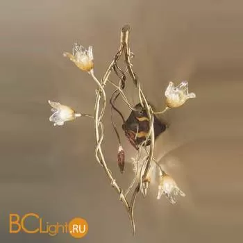 Бра MM Lampadari 6682/P5