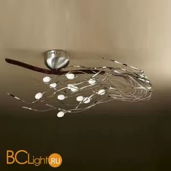 Потолочная люстра MM Lampadari 6792/P12