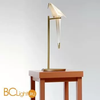 Настольная лампа MOOOI Perch light TABLE MOLPLTA - Фото 0