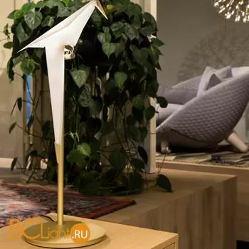 Настольная лампа MOOOI Perch light TABLE MOLPLTA - Фото 6