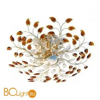 Потолочный светильник MW-Light Адриатика 280010208