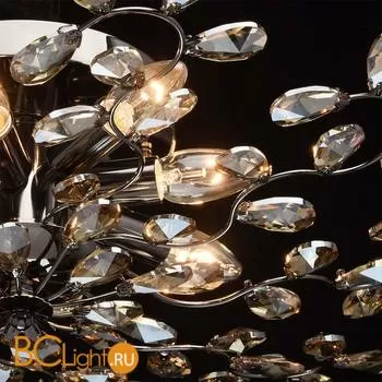 Потолочный светильник MW-Light Адриатика 280011008 - Фото 5