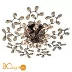 Потолочный светильник MW-Light Адриатика 280011008 - Фото 2