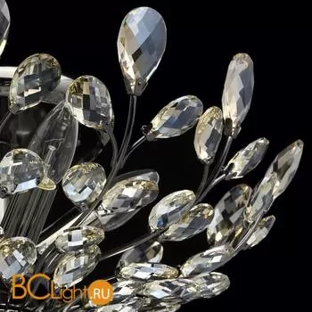 Потолочный светильник MW-Light Адриатика 280011205 - Фото 5