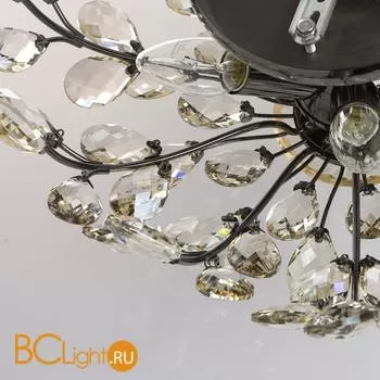 Потолочный светильник MW-Light Адриатика 280011205 - Фото 6