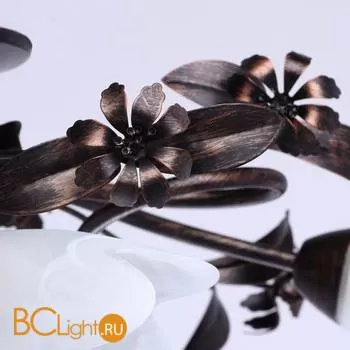 Потолочная люстра MW-Light Аида 323013708 - Фото 8