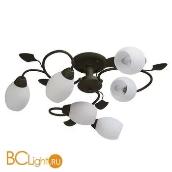 Потолочная люстра MW-Light Аида 323012106