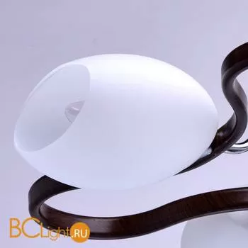 Потолочная люстра MW-Light Альфа 324010903 - Фото 2