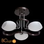 Потолочная люстра MW-Light Альфа 324010903
