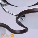 Потолочная люстра MW-Light Альфа 324011005 - Фото 4