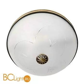 Потолочный светильник MW-Light Ангел 295013703