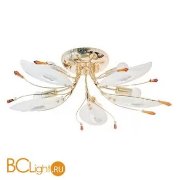 Потолочная люстра MW-Light Аргентина 284010305