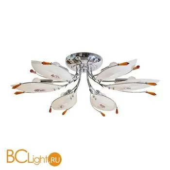 Потолочная люстра MW-Light Аргентина 284010206