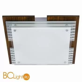 Настенно-потолочный светильник MW-Light Чаша 375012104