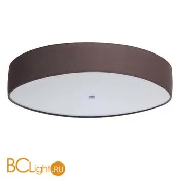 Потолочный светильник MW-Light Дафна 453011601