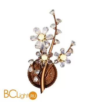 Бра MW-Light Дождь 1200101