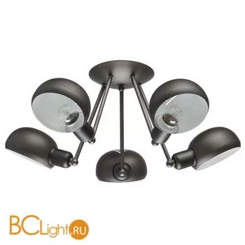Потолочная люстра MW-Light ДаунТаун 691010205
