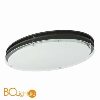 Потолочный светильник MW-Light Эдгар 408011506