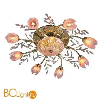 Потолочная люстра MW-Light Ева 241010111