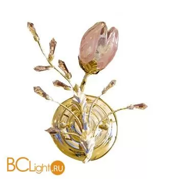 Бра MW-Light Ева 241020201