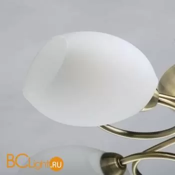 Люстра MW-Light Фиеста 267011805 - Фото 1