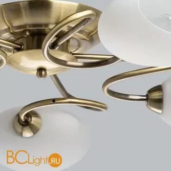 Люстра MW-Light Фиеста 267011805 - Фото 3