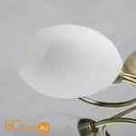 Люстра MW-Light Фиеста 267011805 - Фото 1