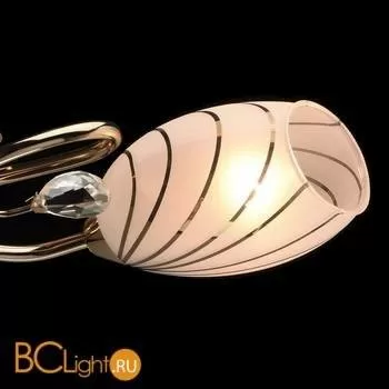 Потолочная люстра MW-Light Фиеста 267012803 - Фото 1