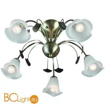 Потолочная люстра MW-Light Флора 256015405