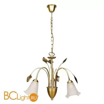 Люстра MW-Light Флора 256015603