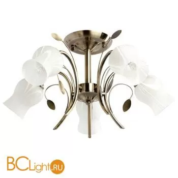 Потолочная люстра MW-Light Флора 256018205