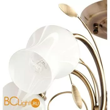 Потолочная люстра MW-Light Флора 256018205 - Фото 2