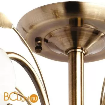 Потолочная люстра MW-Light Флора 256018205 - Фото 3