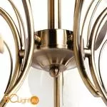 Потолочная люстра MW-Light Флора 256018205 - Фото 1