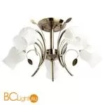 Потолочная люстра MW-Light Флора 256018205