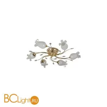 Потолочная люстра MW-Light Флора 256013006