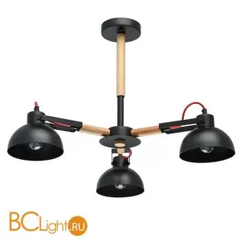 Потолочная люстра MW-Light Форест 693010803