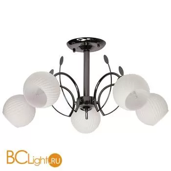 Потолочная люстра MW-Light Грация 358014405