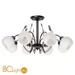 Потолочная люстра MW-Light Грация 358014508