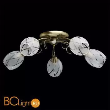 Потолочная люстра MW-Light Грация 358011505 - Фото 0