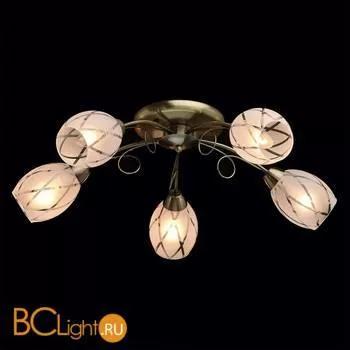 Потолочная люстра MW-Light Грация 358011505 - Фото 1