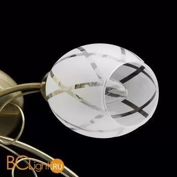 Потолочная люстра MW-Light Грация 358011505 - Фото 5