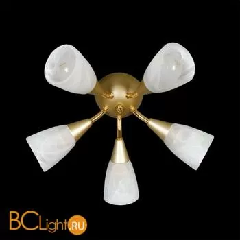 Потолочная люстра MW-Light Грация 358010605